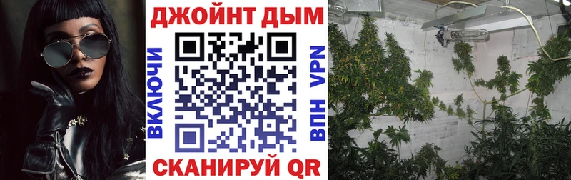 Купить наркоту Новоржев АМФЕТАМИН  МАРИХУАНА  Кокаин  Меф  ГАШИШ 