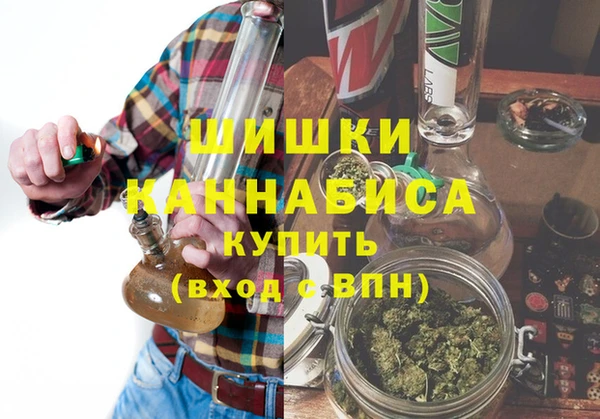 прущие грибы Арсеньев