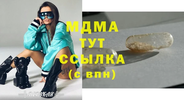 хмурый Аркадак