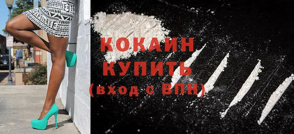 хмурый Аркадак