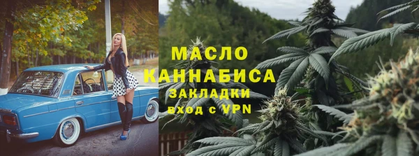 хмурый Аркадак