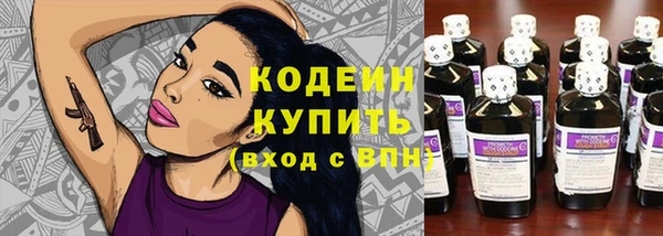 хмурый Аркадак
