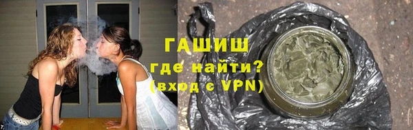 хмурый Аркадак