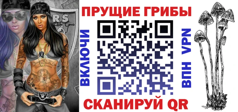 дарк нет какой сайт  где найти наркотики  Новоржев  Псилоцибиновые грибы Magic Shrooms 